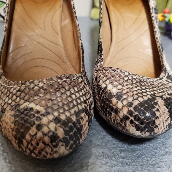 snakeskin clarks